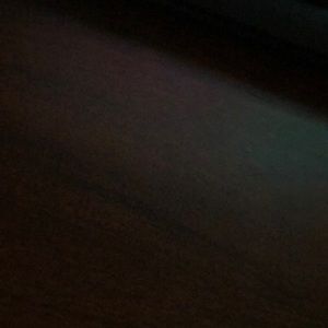 Meet your Posher, Sonny